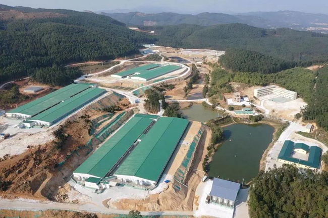 9001诚信金沙(中国)有限公司